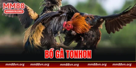 bồ gà Tonhon
