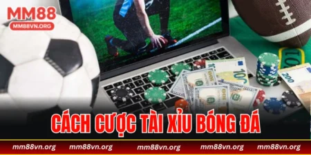 cách cược tài xỉu bóng đá
